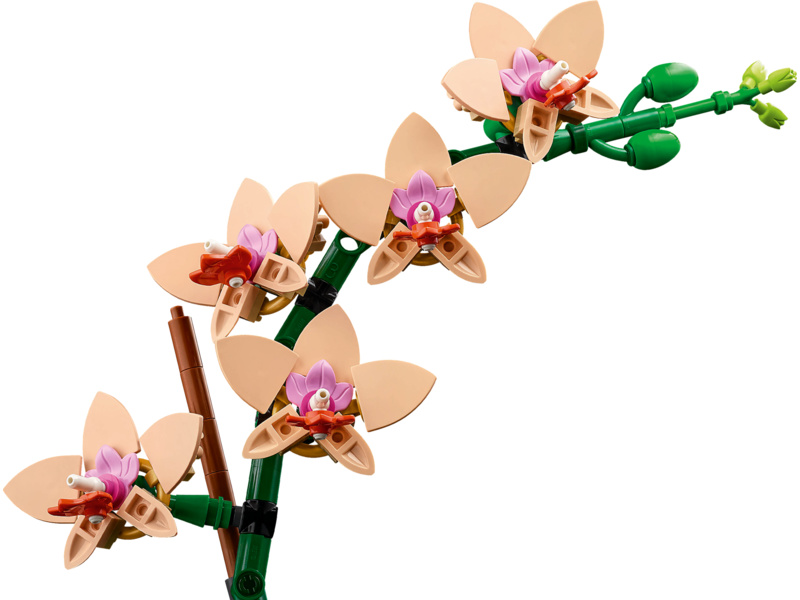 LEGO Botanicals - Miniaturní orchidej