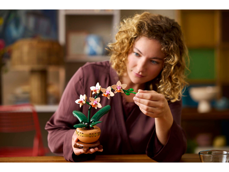 LEGO Botanicals - Miniaturní orchidej