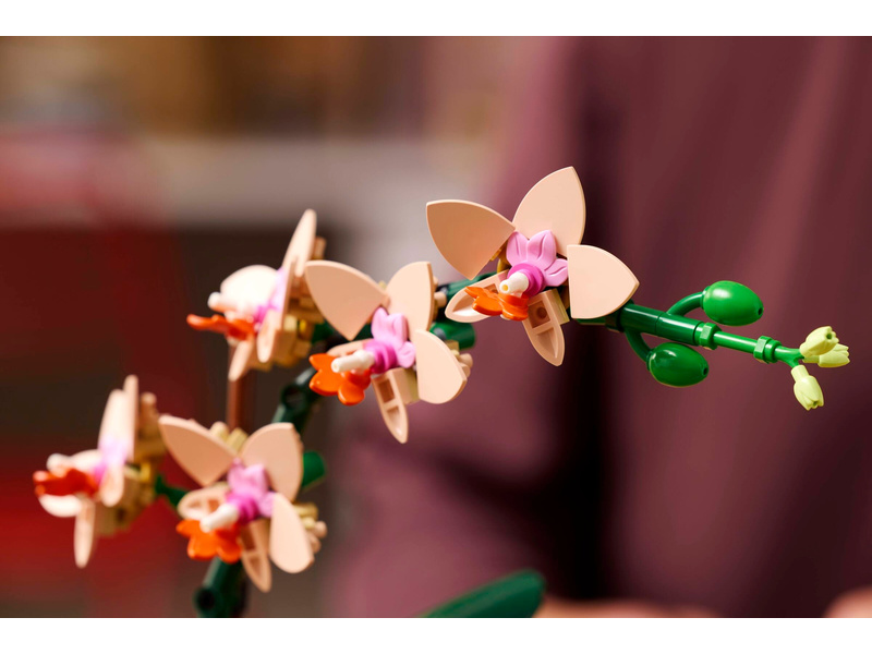 LEGO Botanicals - Miniaturní orchidej