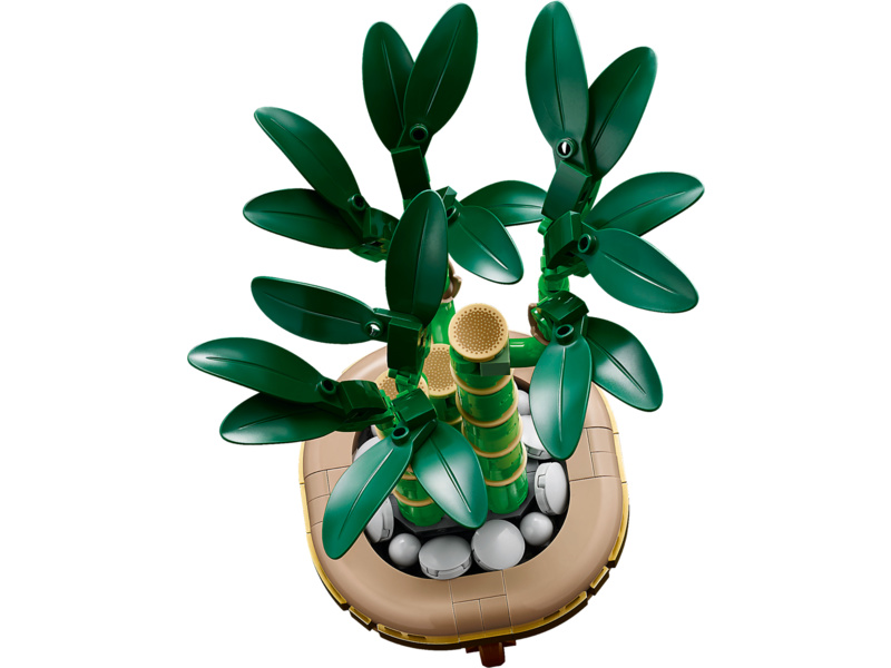 LEGO Botanicals - Bambus štěstí