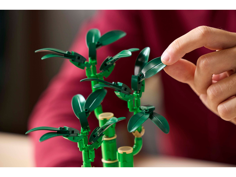 LEGO Botanicals - Bambus štěstí