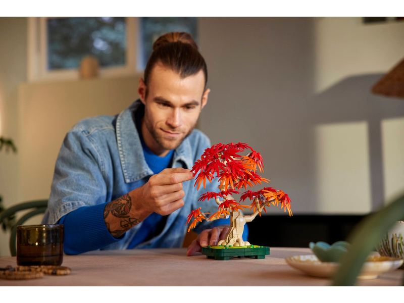 LEGO Botanicals - Bonsaj – Japonský červený javor