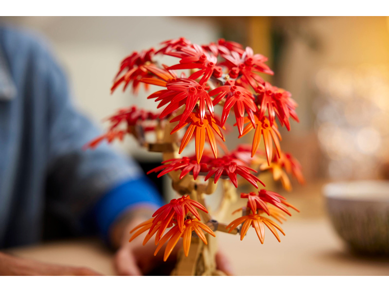 LEGO Botanicals - Bonsaj – Japonský červený javor