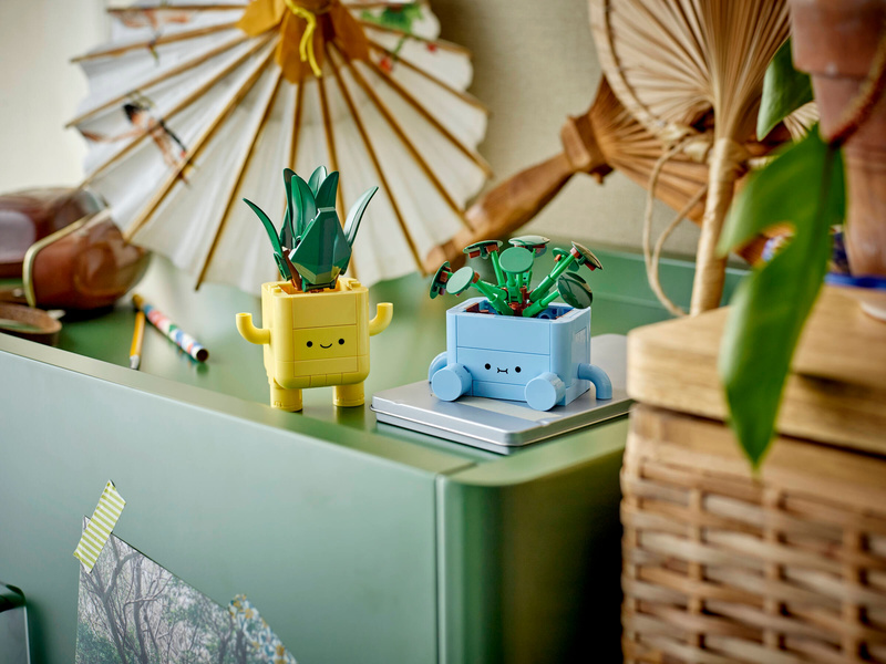 LEGO Botanicals - Veselé rostlinky