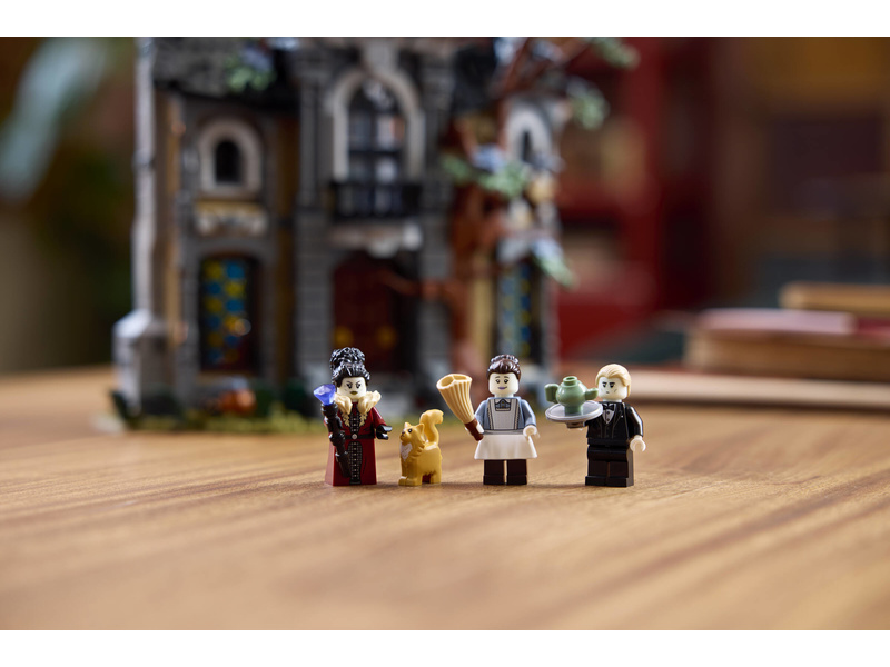 LEGO Icons - Sídlo starostky