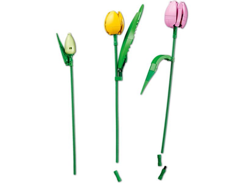LEGO Botanicals - Kytice tulipánů