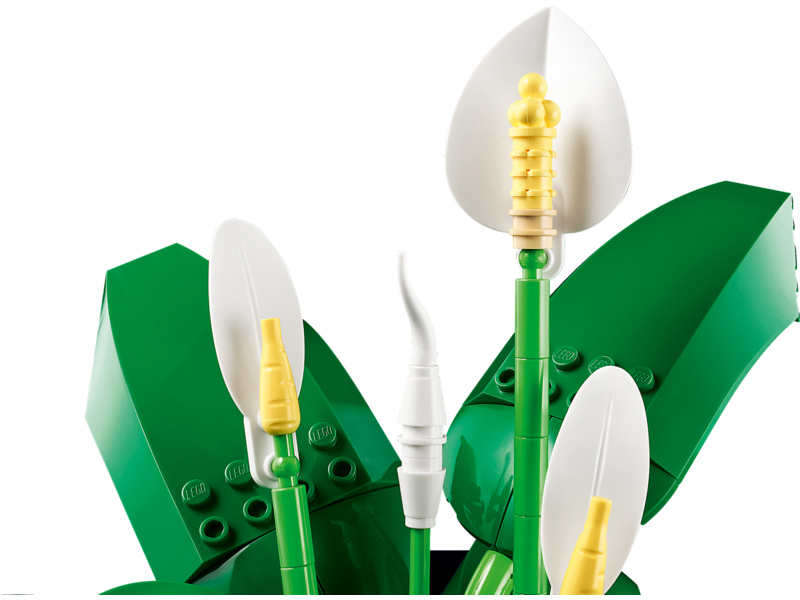 LEGO Botanicals - Lopatkovec