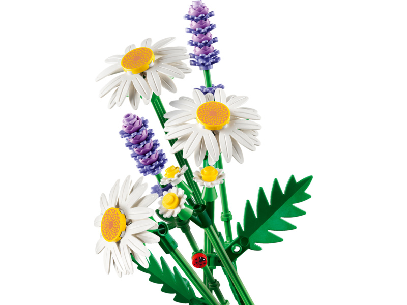 LEGO Botanicals - Kopretiny