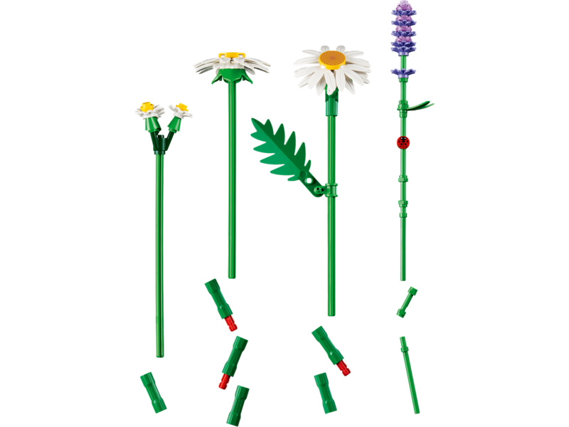 LEGO Botanicals - Kopretiny