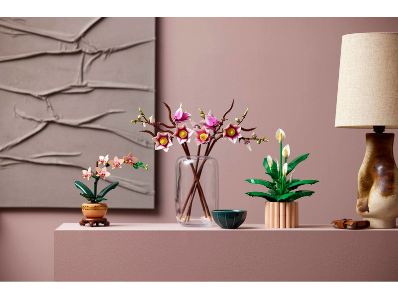 LEGO Botanicals - Větvičky magnólie