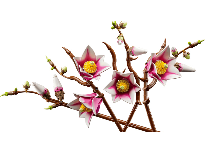 LEGO Botanicals - Větvičky magnólie