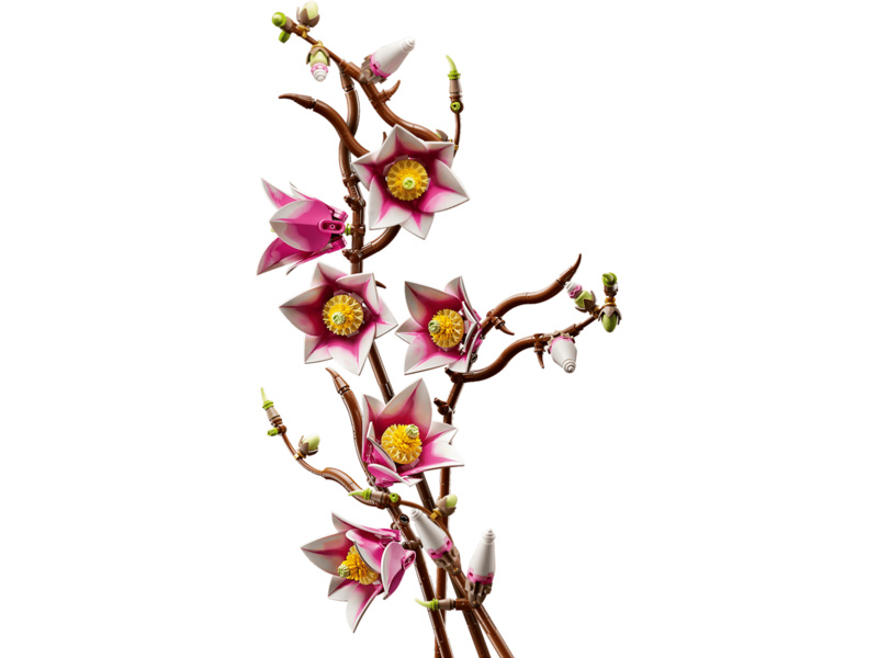 LEGO Botanicals - Větvičky magnólie