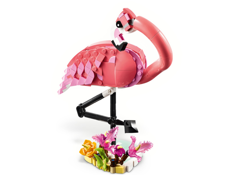 LEGO Creator - Divoká zvířata: Růžový plameňák