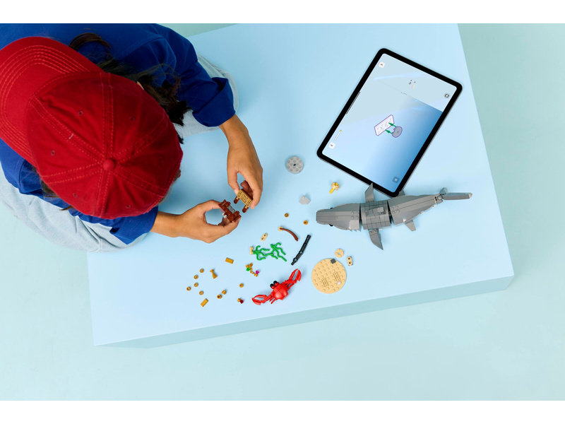 LEGO Creator - Divoký žralok a truhla s pokladem