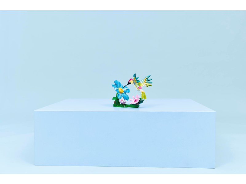 LEGO Creator - Divoká zvířata: Barevný kolibřík