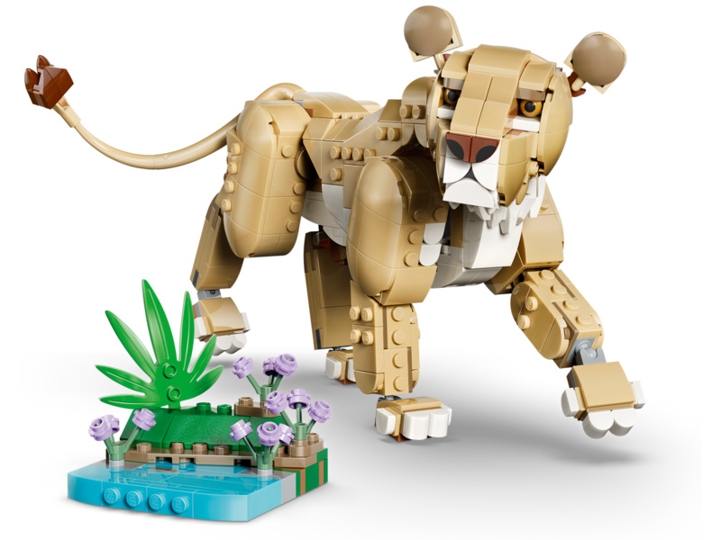 LEGO Creator - Divoká zvířata: Majestátní lev