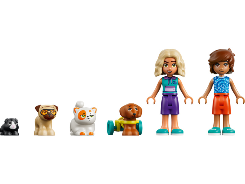 LEGO Friends - Zábavný den v aquaparku