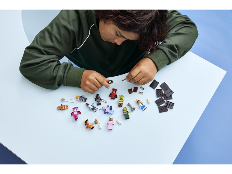 LEGO Minifigurky - Série Shrek