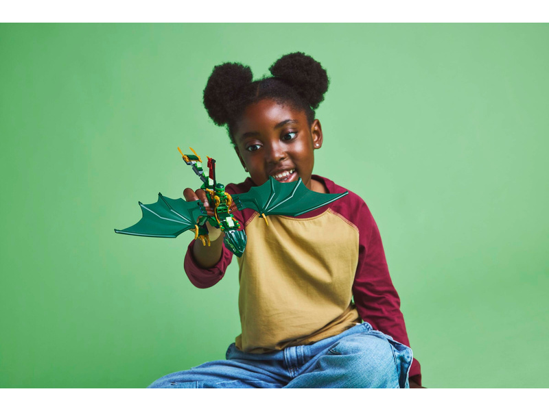 LEGO Ninjago - Lloydův zelený lesní drak