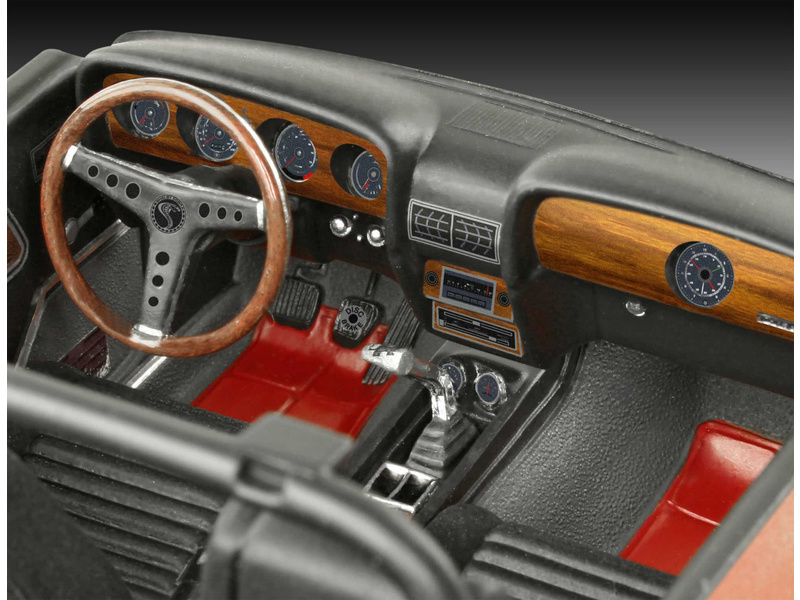 Revell Shelby Mustang GT500 1970 (1:25)