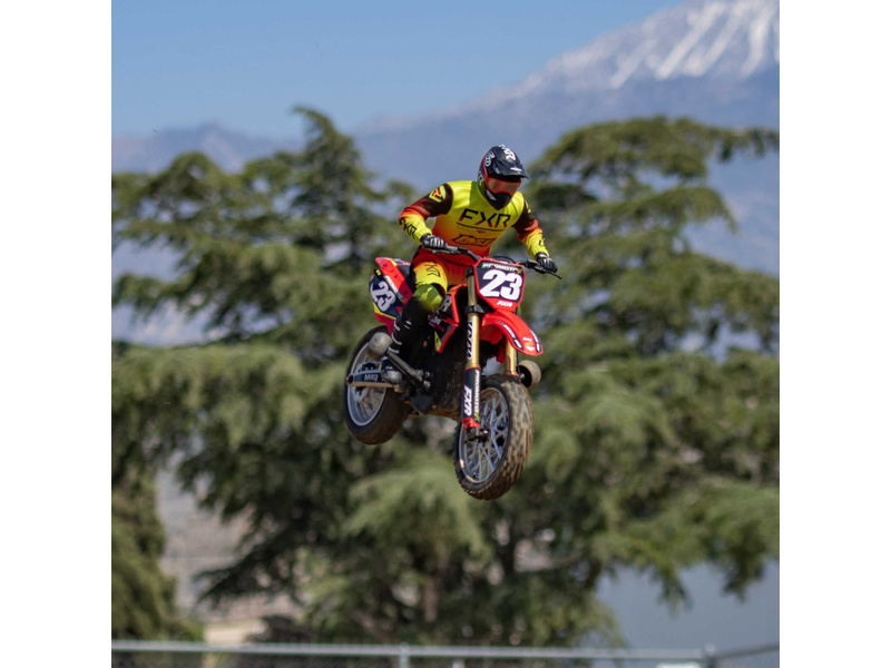 Losi Promoto-MX 1:4 RTR Basic Club MX