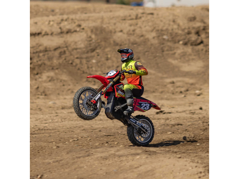 Losi Promoto-MX 1:4 RTR Basic Club MX