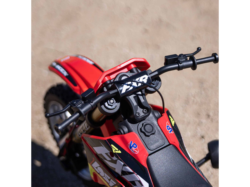 Losi Promoto-MX 1:4 RTR Basic Club MX