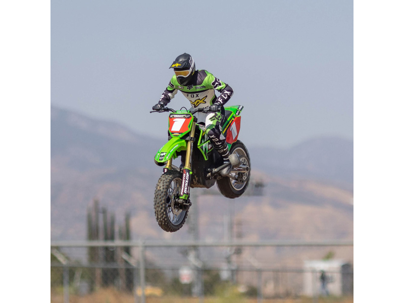 Losi Promoto-MX 1:4 RTR Pro Circuit