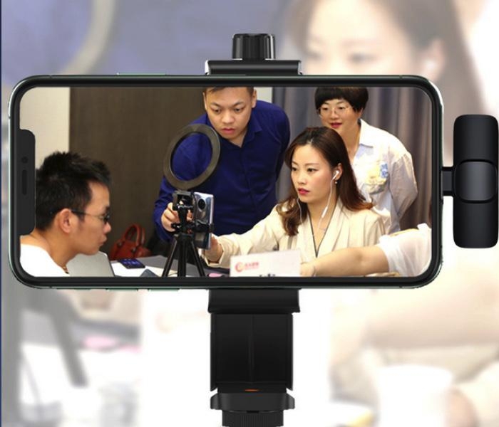 Bezdrátový mikrofon typu C 2 v 1 (s baterií)