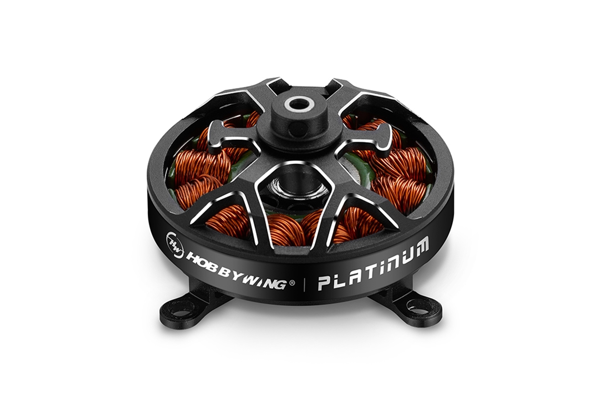 Platinum F3P 3D Combo